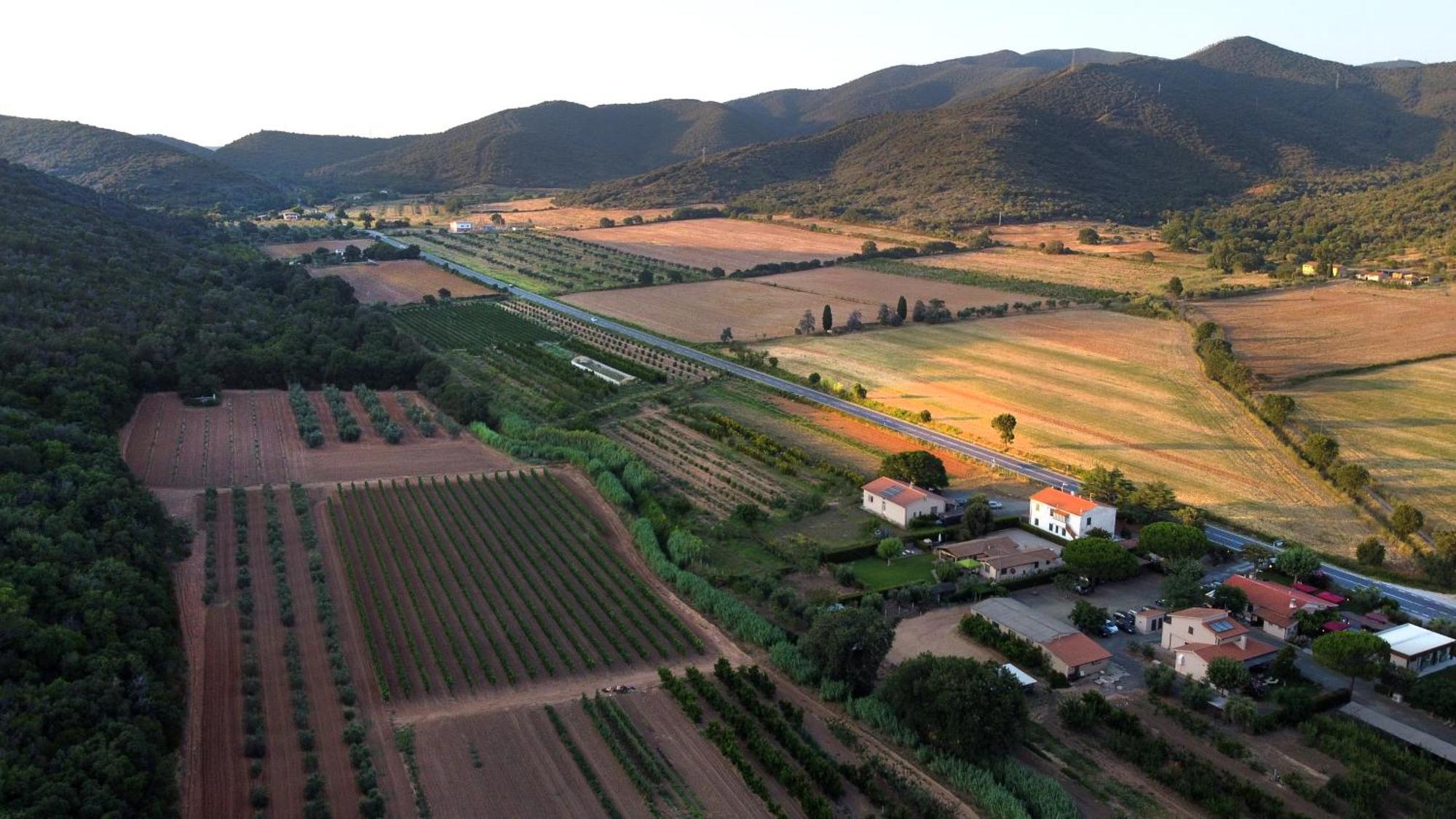 Agriturismo La Sassicaia Кастильоне дела Пеская Екстериор снимка
